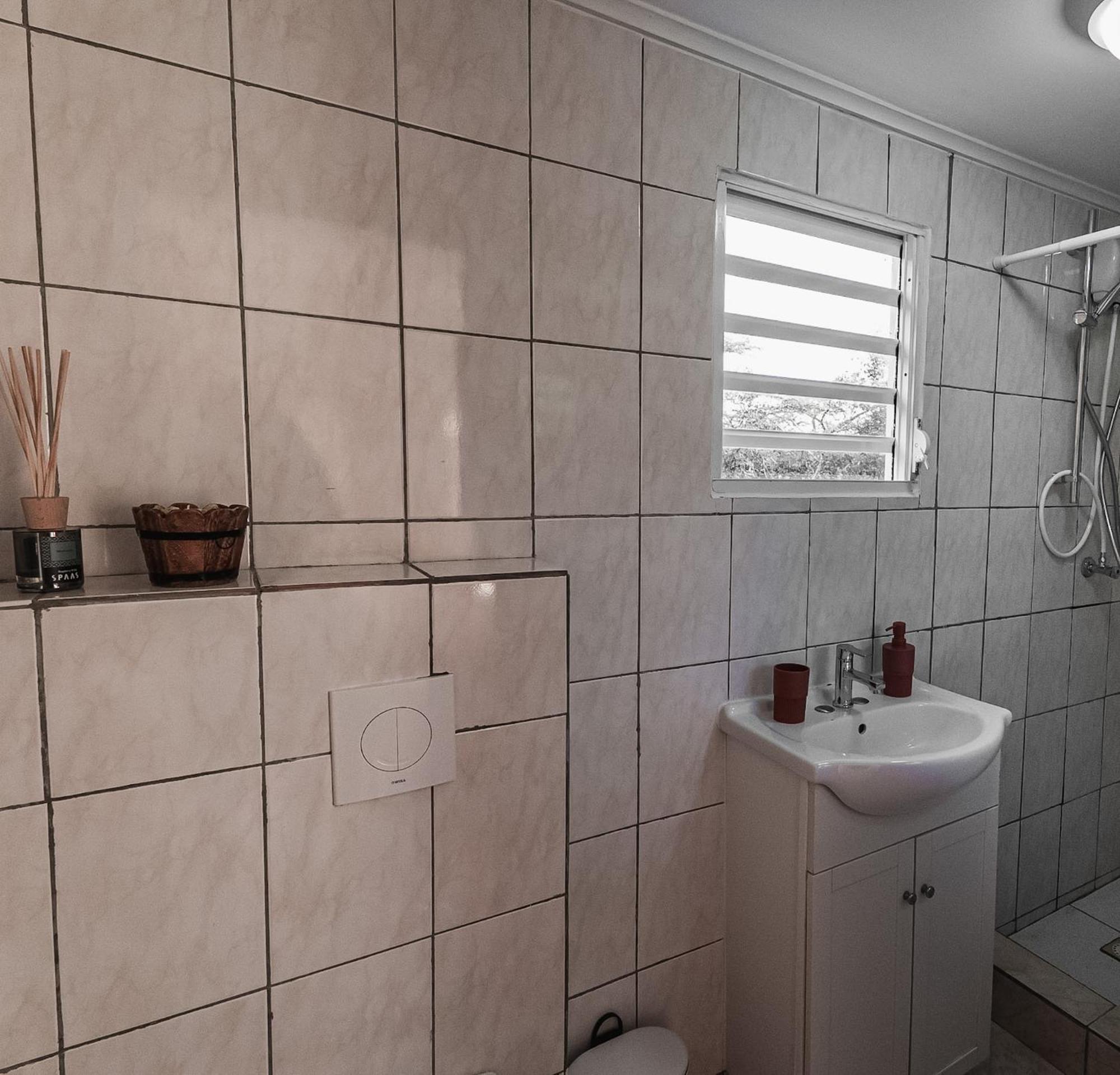Landhuis Daniel - Plantation House Tera Kora エクステリア 写真