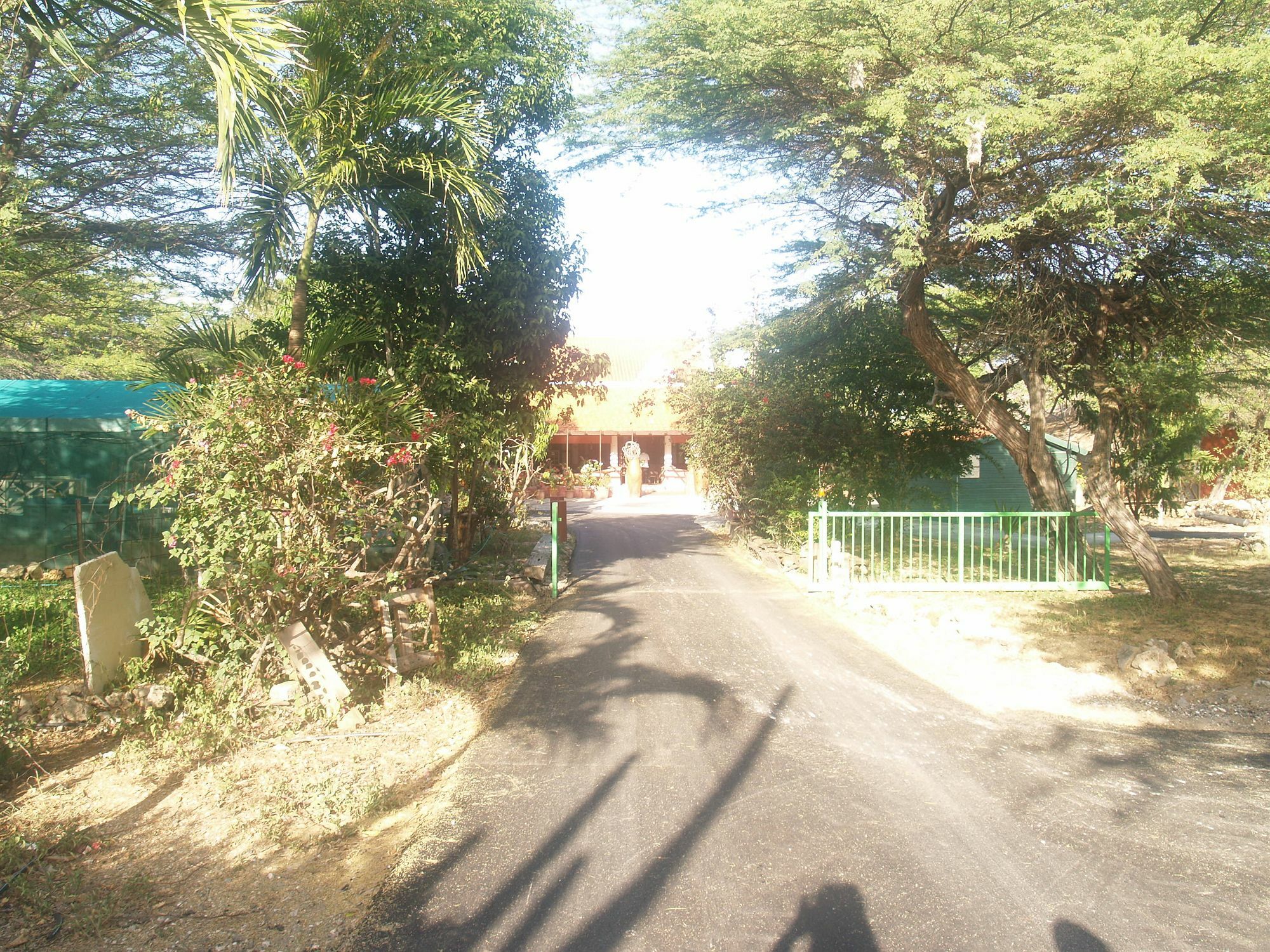 Landhuis Daniel - Plantation House Tera Kora エクステリア 写真